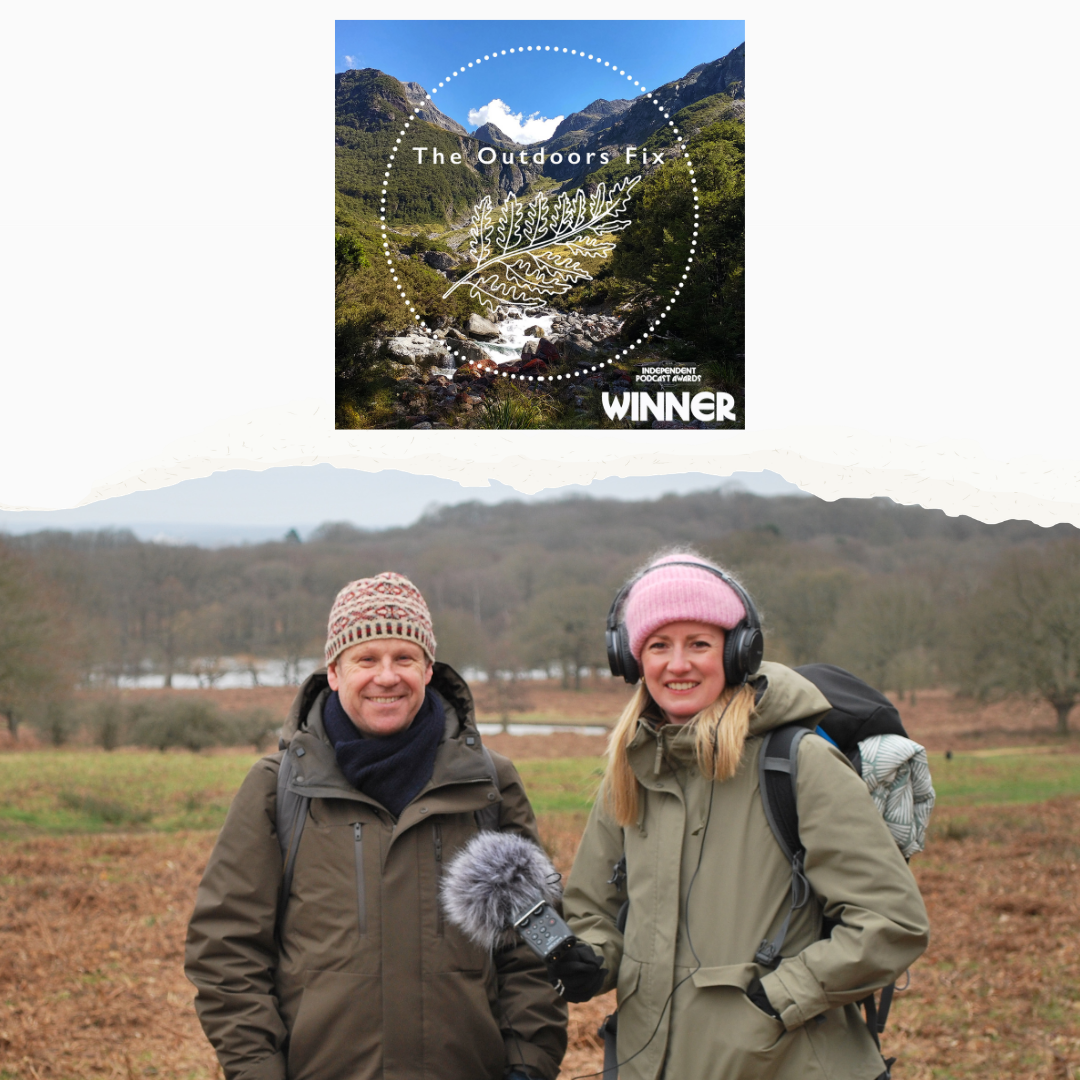 Paul Wood: Tree hunting in Britain and Ireland’s towns and cities